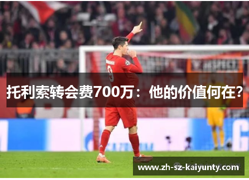 托利索转会费700万:他的价值何在?