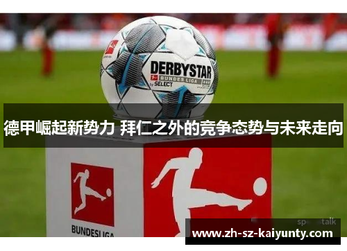 德甲崛起新势力 拜仁之外的竞争态势与未来走向