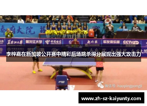 李梓嘉在新加坡公开赛中精彩后场跳杀得分展现出强大攻击力