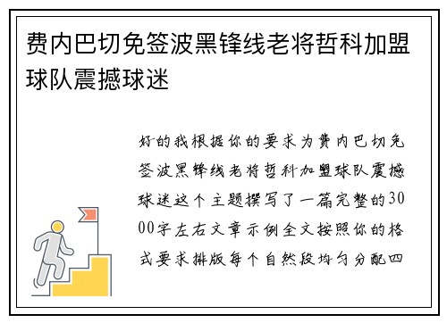 费内巴切免签波黑锋线老将哲科加盟球队震撼球迷