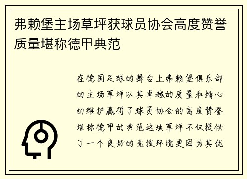 弗赖堡主场草坪获球员协会高度赞誉质量堪称德甲典范 弗赖堡主场草坪获球员协会高度赞誉质量堪称德甲典范
