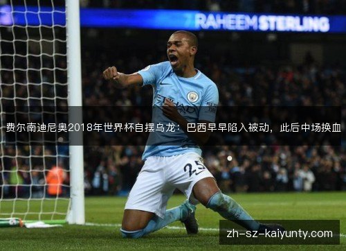 费尔南迪尼奥2018年世界杯自摆乌龙:巴西早早陷入被动,此后中场换血 费尔南迪尼奥2018年世界杯自摆乌龙:巴西早早陷入被动,此后中场换血